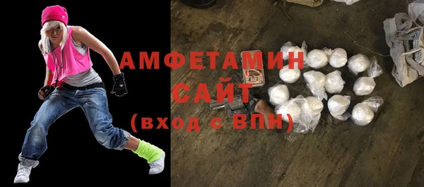 шишки Абаза