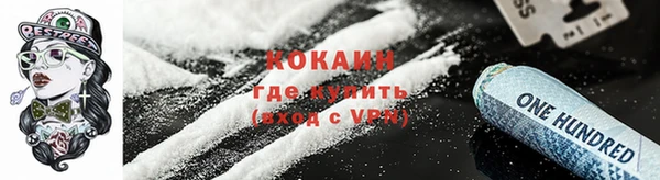 шишки Абаза