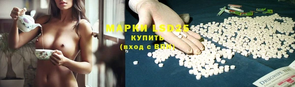 шишки Абаза