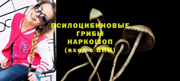 ECSTASY Абинск