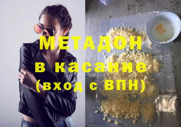 шишки Абаза