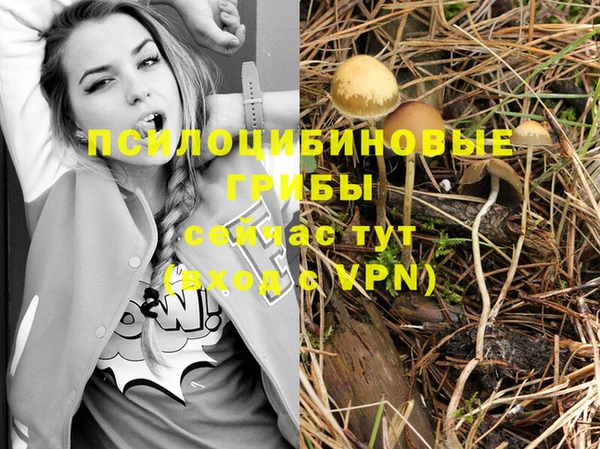 крисы Абдулино