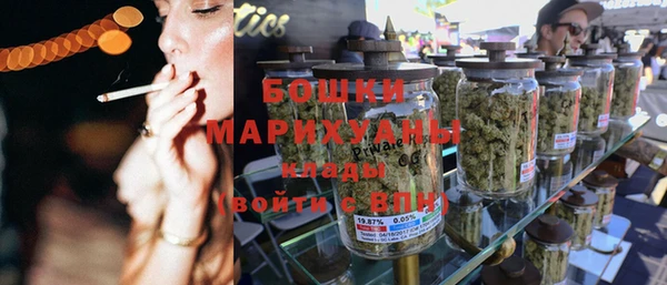 шишки Абаза