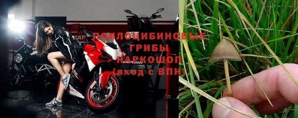 шишки Абаза