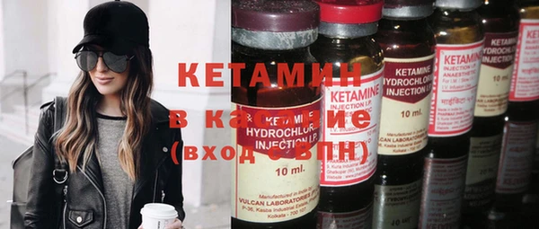 шишки Абаза