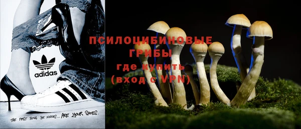 индика Алзамай